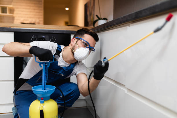 Best Pest Removal Services  in Downs, IL