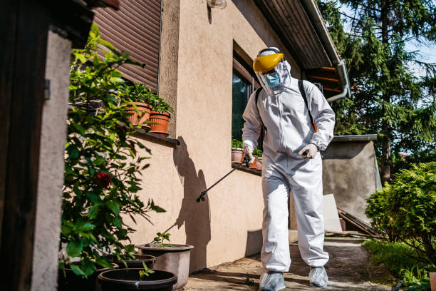 Best Mosquito Control Services  in Downs, IL