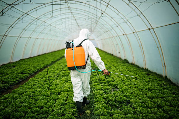 Best Pest Control Cost  in Downs, IL