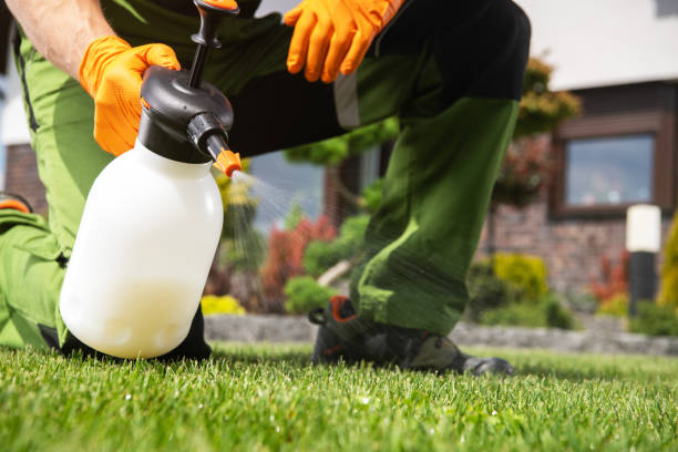 Best Wildlife Control Services  in Downs, IL