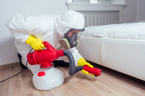Best Affordable Pest Control Services  in Downs, IL