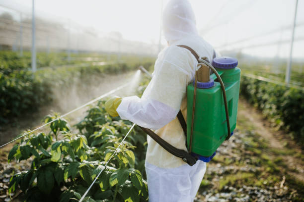 Best Pest Control Near Me  in Downs, IL